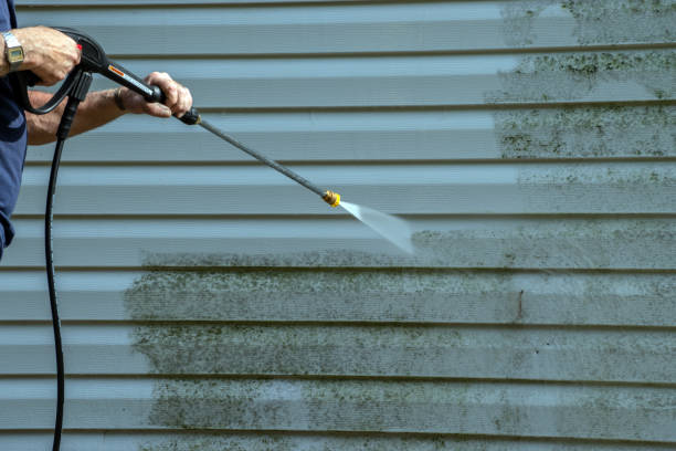 Best House Exterior Washing  in Roanoke Rapids, NC